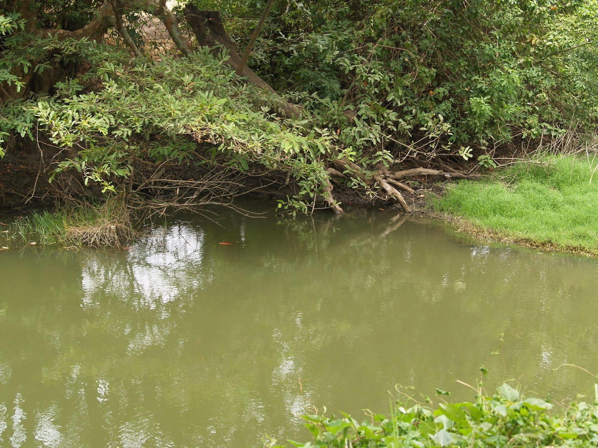 Kibissa Welimaluwa Resort Sigiriya מראה חיצוני תמונה