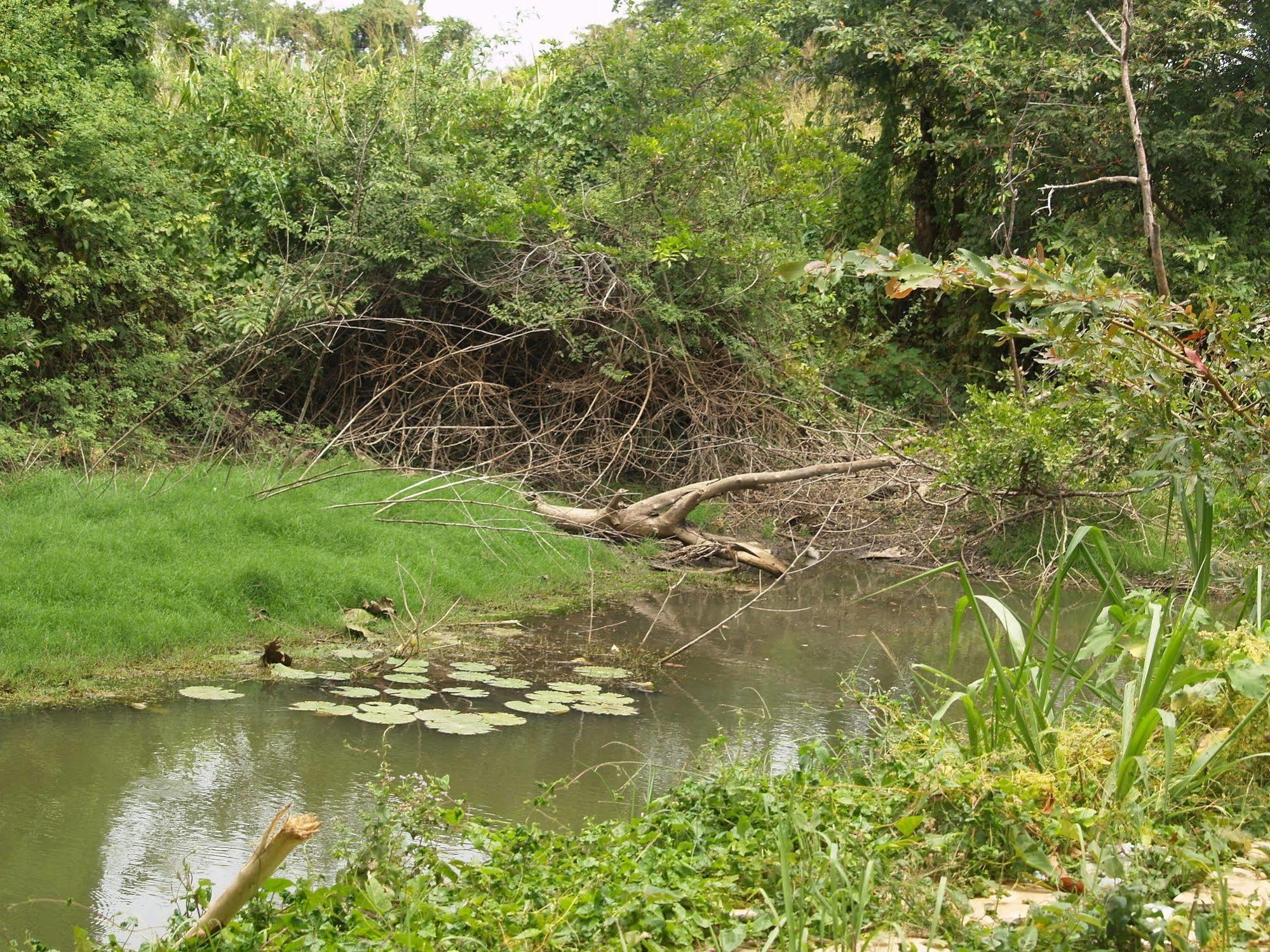 Kibissa Welimaluwa Resort Sigiriya מראה חיצוני תמונה